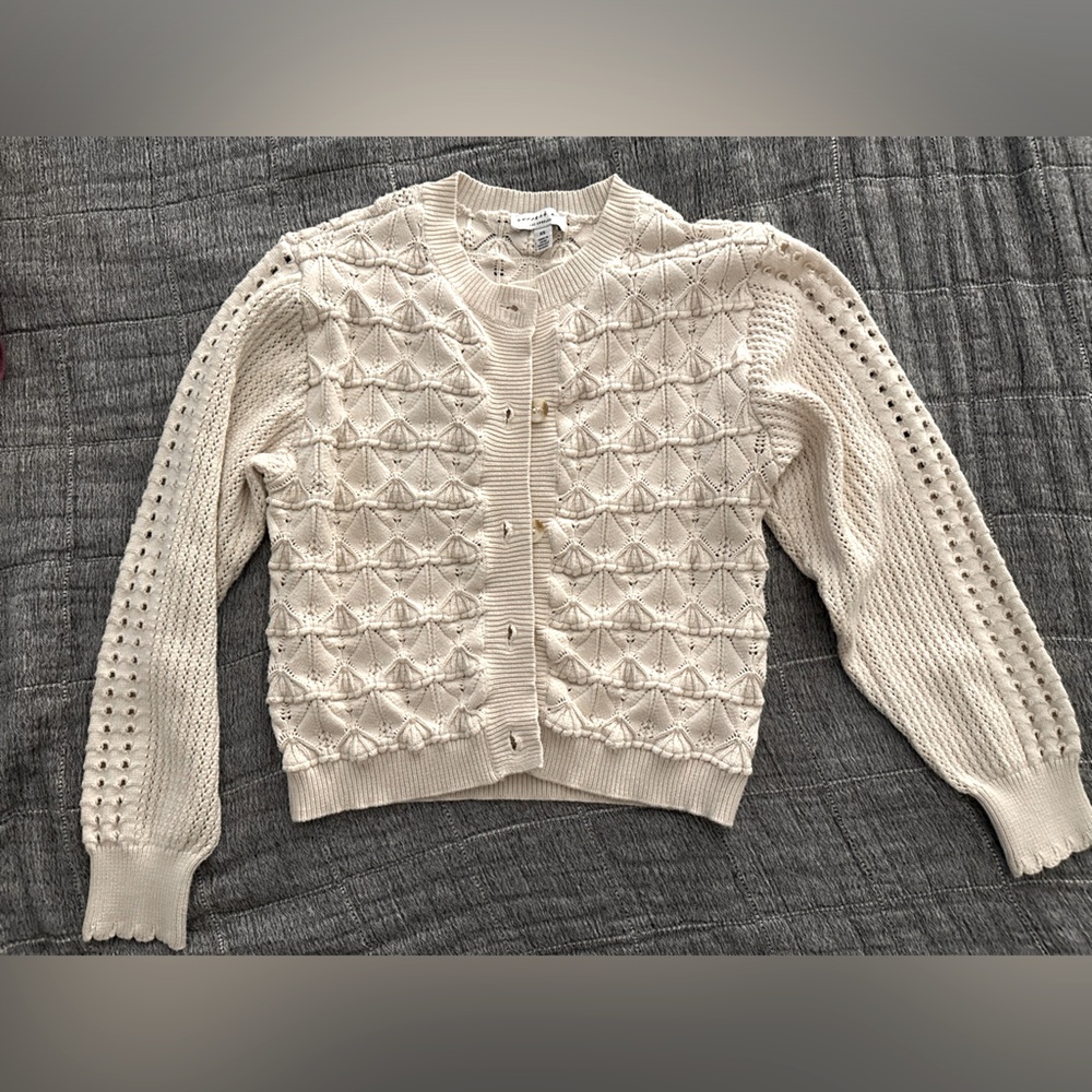 Maxwell Morning Light Embroidered Cardigan/Ivory
XS